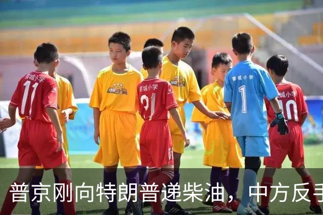 普京刚向特朗普递柴油，中方反手邀乌外长访华！都在抢战后格局